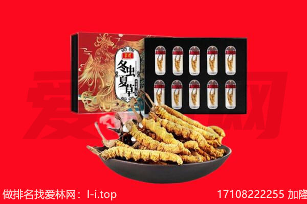 宜良县回收虫草.jpg